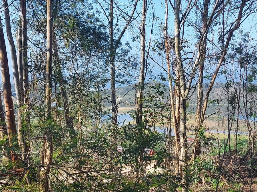 0 Bedroom Property for Sale in Sedgefield Rural Western Cape